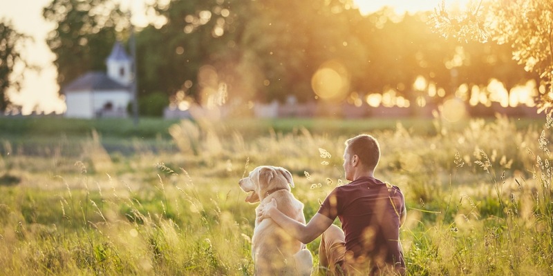 September ist Schmerz-Awareness-Monat / Endlich schmerzfrei: 5 Dos & Don'ts, die Hunden mit Arthrose wirklich helfen - Foto: presseportal.de