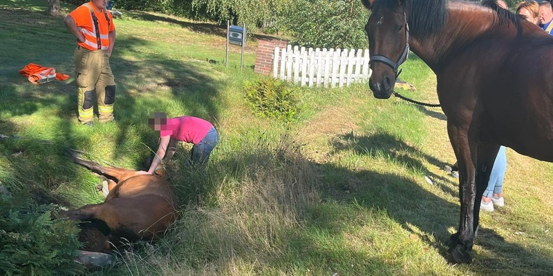 FW-OLL: Pony aus misslicher Lage befreit - Foto: presseportal.de