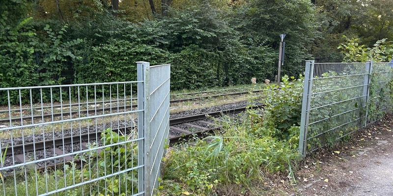 FW Paderborn: Feuerwehr rettet sieben Schwäne von Bahngleisen - Foto: presseportal.de