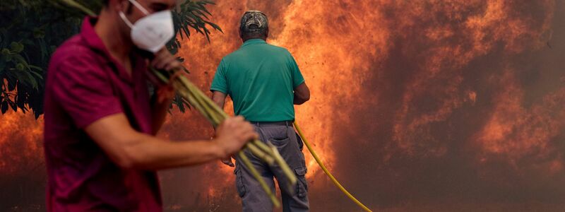 Unermüdlich kämpfen Einsatzkräfte und freiwillige Helfer gegen die Flammen. - Foto: Pablo Garcia/AP/dpa