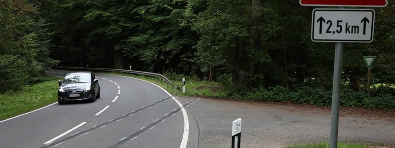 Der 32-jährige Fahrer, ein 31-jähriger Mitfahrer und zwei Mitfahrerinnen im Alter von 32 und 30 Jahren starben noch am Unfallort. - Foto: Stefan Rampfel/dpa