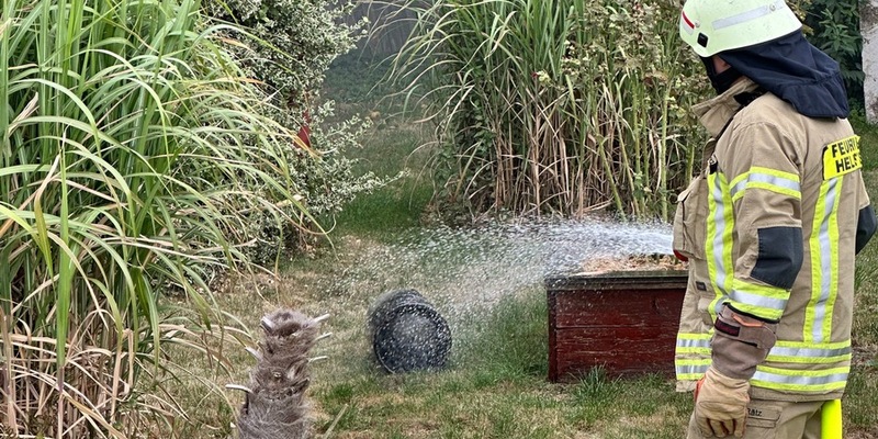 FW Helmstedt: Brennen mehrere Gartenlauben in voller Ausdehnung - Foto: presseportal.de