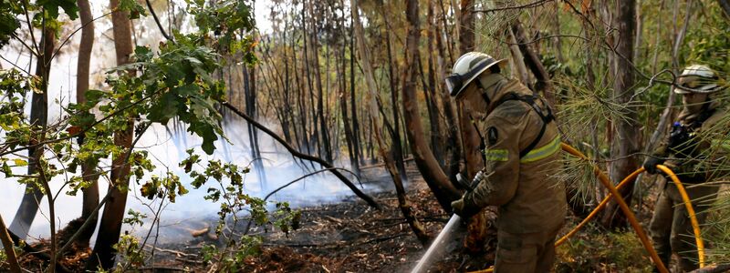 Die Zahl der Todesopfer der verheerenden Waldbrände ist in Portugal gestiegen. Historische Dörfer mussten evakuiert werden. - Foto: Xun Wei/XinHua/dpa