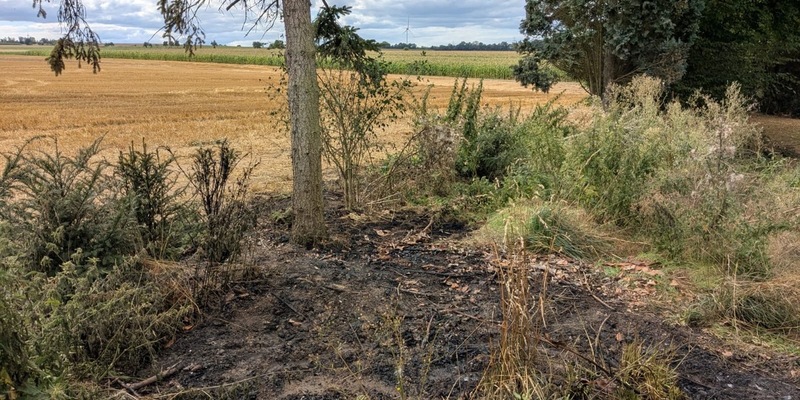 FW Ense: gemeldeter Flächenbrand in Sieveringen / schnelles Eingreifen der Feuerwehr verhindert Schlimmeres - Foto: presseportal.de