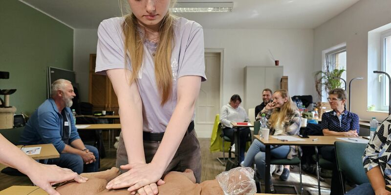 Hund «Puma» erhält im Erste-Hilfe-Kurs in Halle einen Kopfverband. - Foto: Mike Müller/dpa