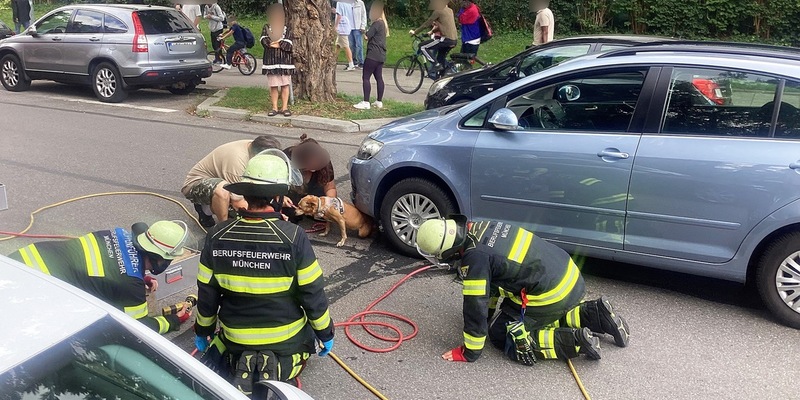 FW-M: Wochenendrückblick der Feuerwehr München für den 22. bis 24. August 2025 - Foto: presseportal.de