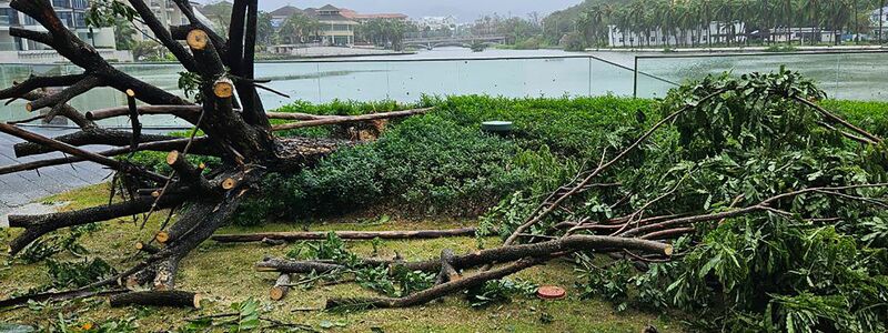 Auf Hainan wurden vorsorglich 20.000 Menschen in Sicherheit gebracht. - Foto: -/TASS via ZUMA Press/dpa