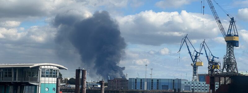 Eine große Rauchwolke ist zu sehen. - Foto: Georg Wendt/dpa