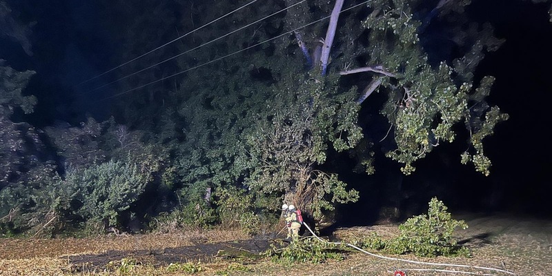 FW Rheurdt: Abgebrochener Ast verursacht Brand und flächendeckenden Stromausfall - Foto: presseportal.de