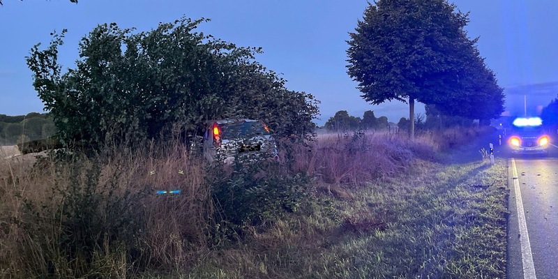 POL-MI: Autofahrer kracht gegen Baum - Foto: presseportal.de