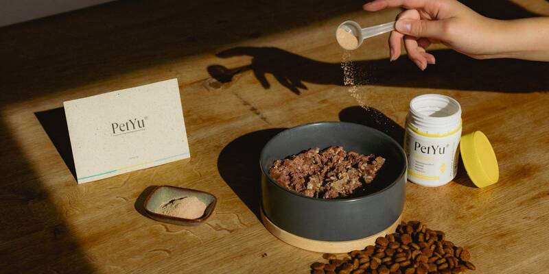  - Foto: PetYu (bluefrog pharma GmbH) über pressetext.de