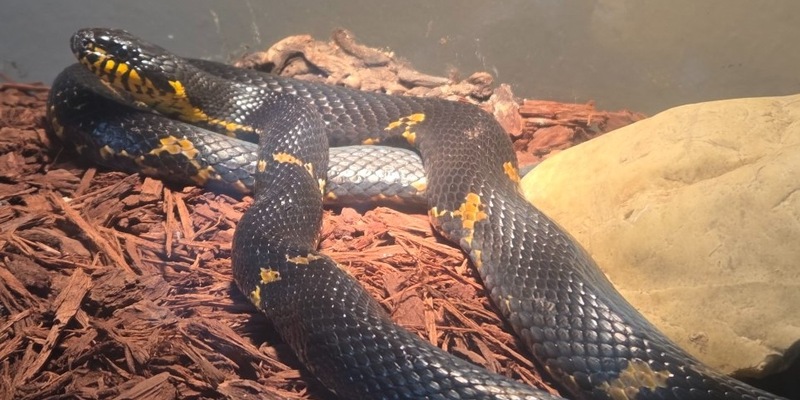 POL-LG: ++ Jugendlicher entwendet Sparbüchse aus Wohnhaus ++ Ladendieb von Mitarbeitern aufgehalten ++ abgestellter Pkw in Vollbrand - Feuer greift auf weitere Fahrzeuge über - Feuerwehr im Löscheinsatz ++ - Foto: presseportal.de