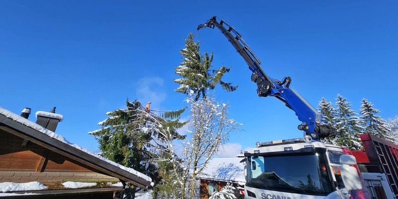 SPEZ AG: Professionelle Baumfällung und nachhaltige Baumpflege in Zürich, St. Gallen und am Zürichsee - Foto: presseportal.de