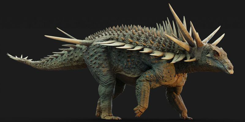 Besonders auffällig ist der Nacken des Tiers. Er hat fünf Stacheln, von denen mindestens zwei fast einen Meter lang sind. - Foto: Matthew Dempsey/-/dpa