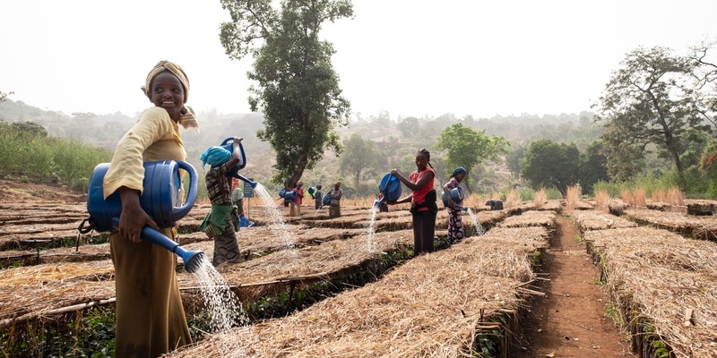 Stiftung Menschen für Menschen: Warum regenerativer Anbau der einzige Weg aus der Kaffeekrise ist - Foto: presseportal.de