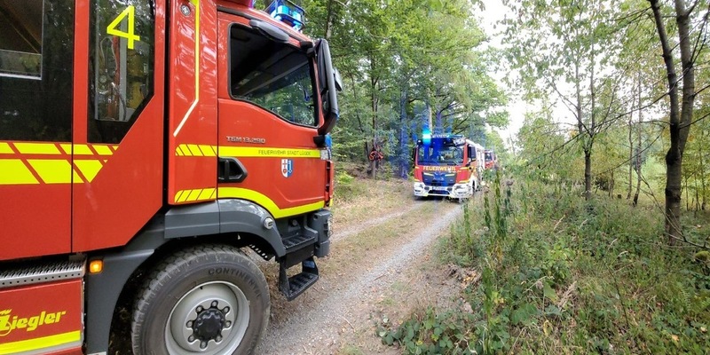 FW Lügde: Waldbrand zwischen Elbrinxen und Henkenbrink - Foto: presseportal.de
