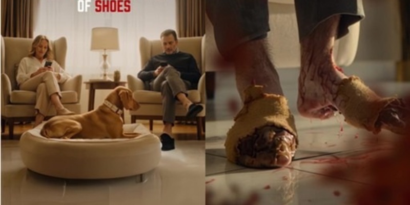 PETA schockiert mit blutigem KI-Video: Der geliebte Hund wird für Lederschuhe in Stücke gerissen - Foto: presseportal.de