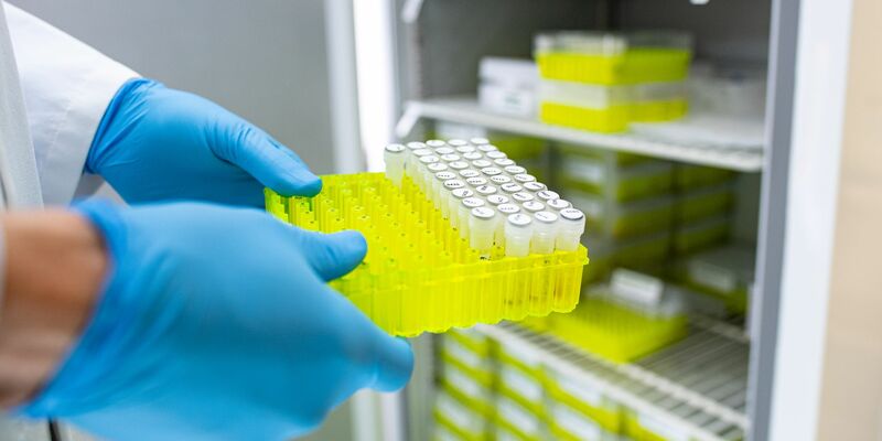 Ehec steht für enterohämorrhagische Escherichia coli und bezeichnet bestimmte krankmachende Stämme dieses im Darm vorkommenden Bakteriums. - Foto: Guido Kirchner/dpa