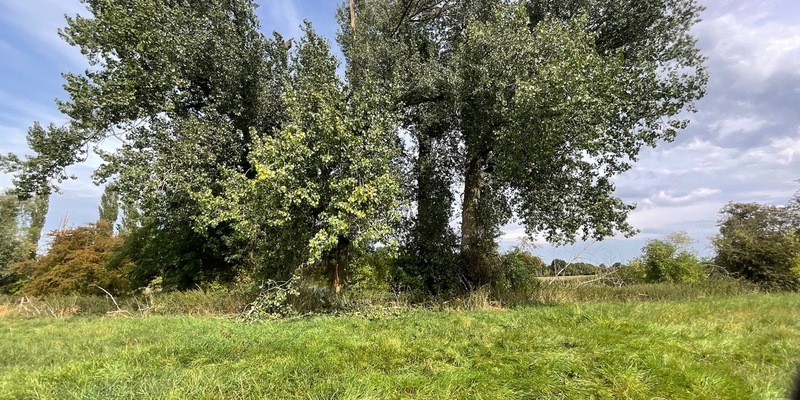 FW Alpen: Vegetationsbrand nach Blitzschlag - Foto: presseportal.de