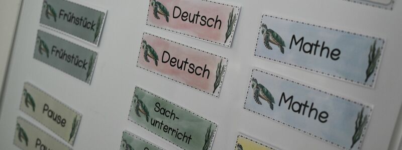 Blau für Jungs? Schüler sind der Studie nach interessierter an Mathematik und Wirtschaft. (Archivbild) - Foto: Arne Dedert/dpa