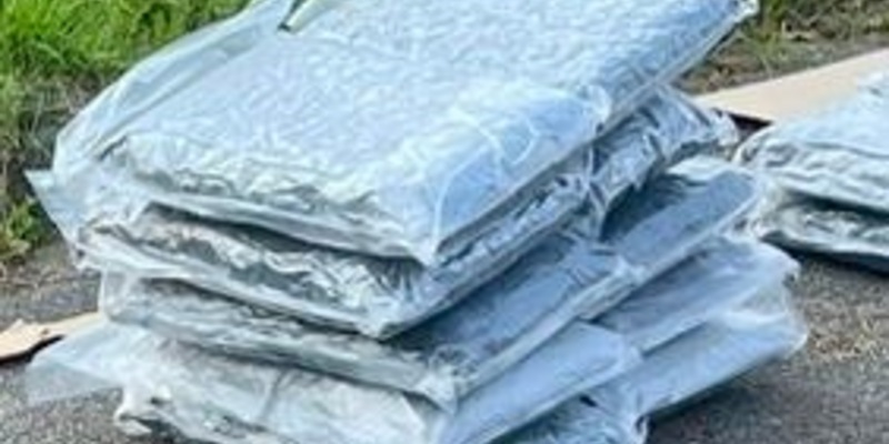 ZOLL-E: Supernasen - Zollhunde Fiete und Kim erschnüffeln über 50 kg Drogen im Wert von ½ Million Euro - 1 Person in Haft - Foto: presseportal.de