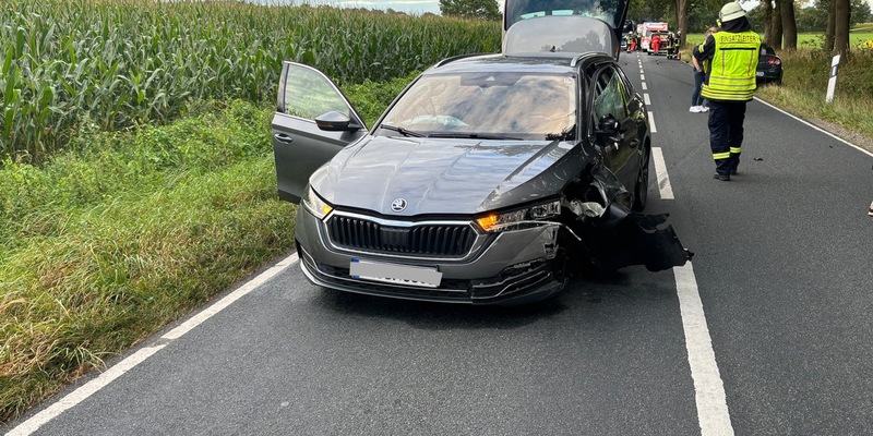 FW-ROW: Schwerer Verkehrsunfall auf der Kreisstraße 139 - Motorradfahrer schwer verletzt +++ Katze in misslicher Lage - Foto: presseportal.de
