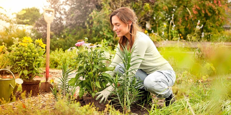 Klimafreundlich gärtnern: Jetzt torffrei in den Herbst starten - Foto: presseportal.de