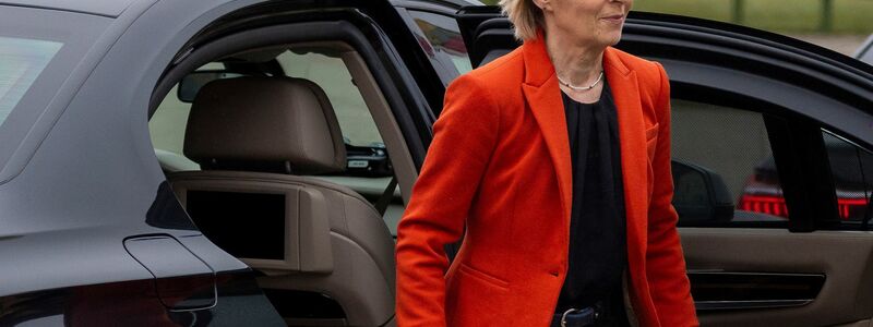 Das Flugzeug mit Ursula von der Leyen konnte am Ende sicher landen. (Archivbild) - Foto: Mindaugas Kulbis/AP/dpa