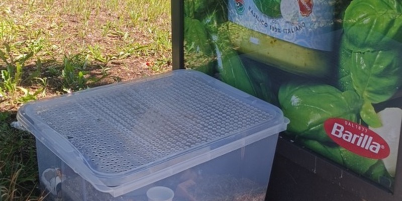 POL-OG: Niederbühl/Rastatt - Hamster zum Sterben ausgesetzt, Zeugenaufruf - Foto: presseportal.de