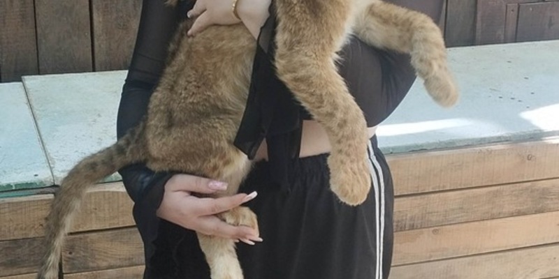 POL-HH: 250902-3. Vermisstenfahndung nach 14-Jähriger aus Hamburg-Neugraben-Fischbek - Foto: presseportal.de