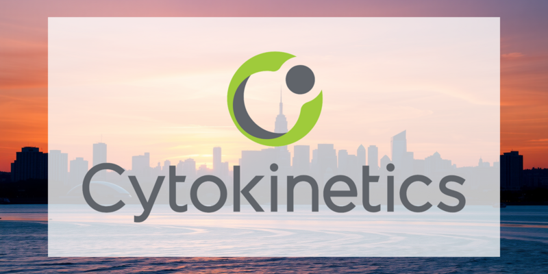 Cytokinetics Aktie: Explosion nach Studienerfolg! - Foto: über boerse-global.de