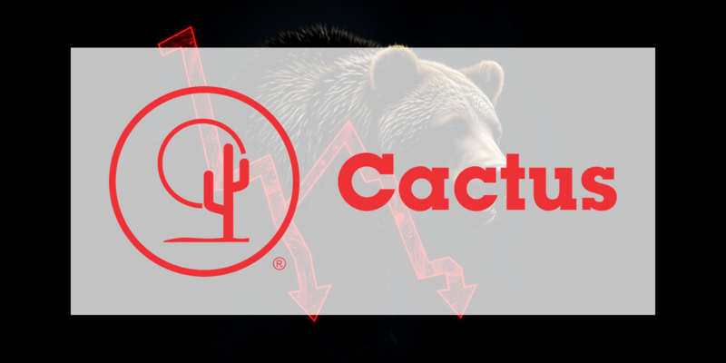Cactus Aktie: Zerrissen zwischen Zuversicht und Zweifel - Foto: über boerse-global.de