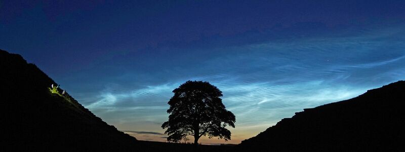 Der Sycamore Gap Tree in England war einst ein beliebtes Fotomotiv. (Archivfoto) - Foto: Owen Humphreys/PA Wire/dpa