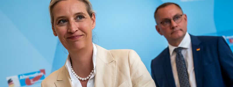 «An der AfD wird man nicht mehr vorbeiregieren können», meint Alice Weidel. (Archivfoto) - Foto: Michael Kappeler/dpa