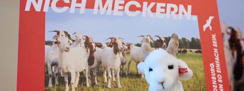 Brandenburg wirbt mit einer neuen Kampagne für Zuzüge aus Westdeutschland. (Archivbild) - Foto: Annette Riedl/dpa