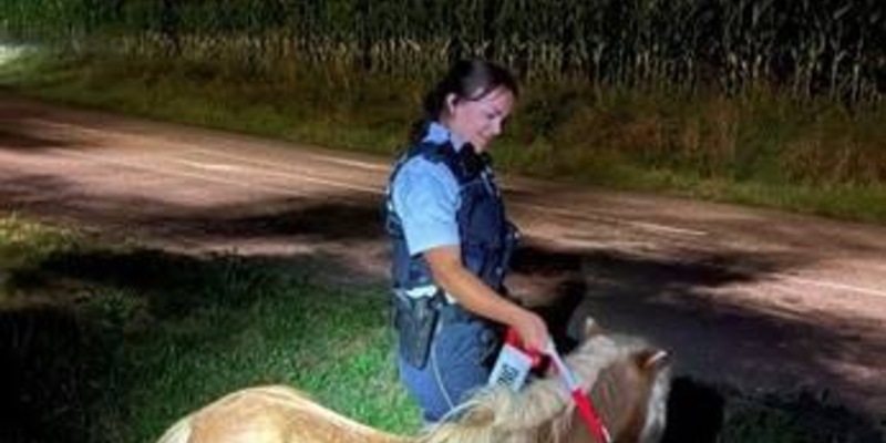 POL-OG: Mittelbaden - Mit guten Nachrichten ins Wochenende - Foto: presseportal.de