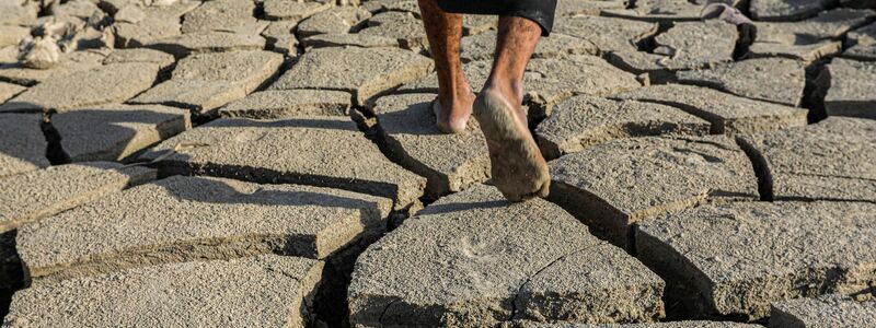 Der südliche Irak könnte wegen Wasserknappheit bald unbewohnbar werden. - Foto: Nabil al-Jurani/AP/dpa