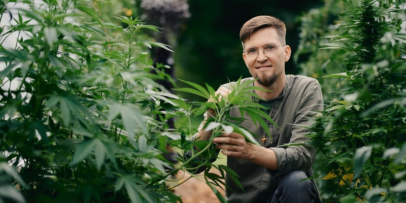 Zwischen Rausch und Rettung: ZDF-Reportage 37°Leben über Cannabis - Foto: presseportal.de