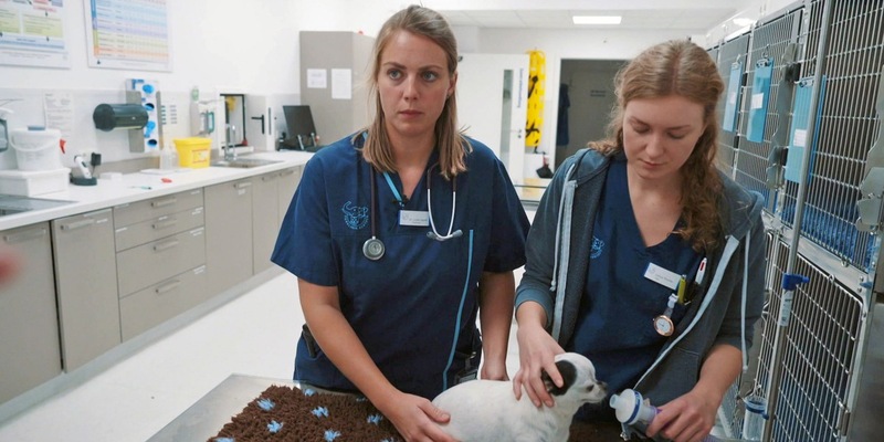 Neue Reportage bei RTLZWEI Deutschland bei Nacht - Schuften statt schlafen: Ein Blick hinter die Kulissen der Nachtarbeit - Foto: presseportal.de