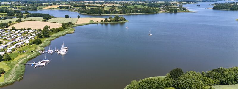 Blick auf die Schlei: Sie ragt als Meeresarm 42 Kilometer ins Landesinnere hinein. (Archivbild)  - Foto: Georg Wendt/dpa