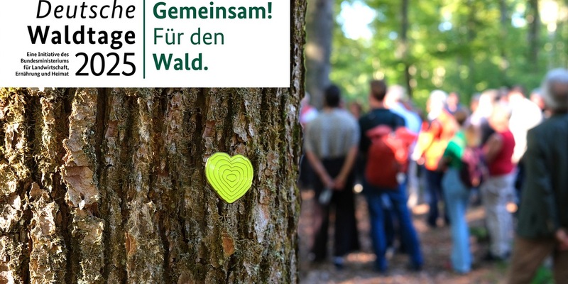 Bundesweite Veranstaltungen zu den Deutschen Waldtagen 2025 / Unter dem Motto Gemeinsam! Für den Wald. finden vom 19. bis 21. September in ganz Deutschland zahlreiche Aktionen statt - Foto: presseportal.de