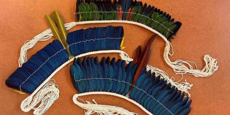 HZA-S: Papageienfedern in Postpaket / Zollamt Winnenden beschlagnahmt artgeschützten Kopfschmuck - Foto: presseportal.de