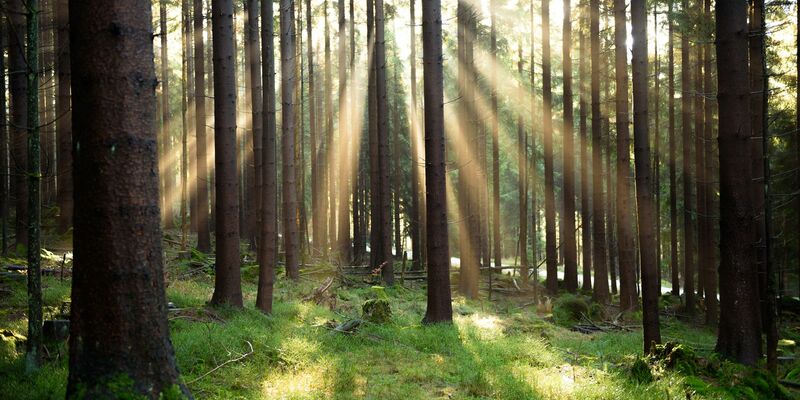 Atom und Gas als grüne Investition? Das EU-Gericht hat über ein EU-Label für nachhaltige Finanzprodukte entschieden. (Symbolbild) - Foto: Nicolas Armer/dpa/dpa-tmn