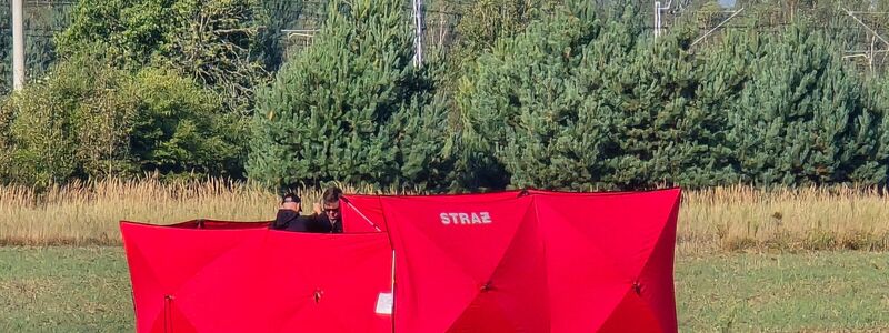 In der Nähe von Biala Podlaska sichern Feuerwehrleute die Trümmer einer abgeschossenen Drohne. (Foto aktuell) - Foto: Piotr Pyrkosz/AP/dpa