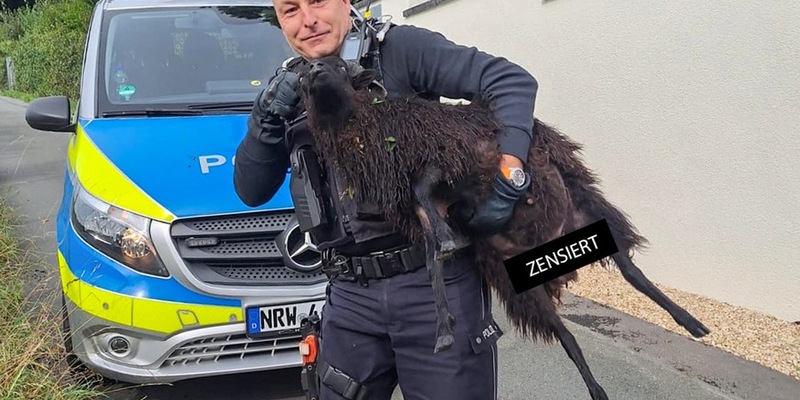 POL-BO: High Noon in Herbede: Showdown zwischen Hund, Schaf und Sherriff - Foto: presseportal.de