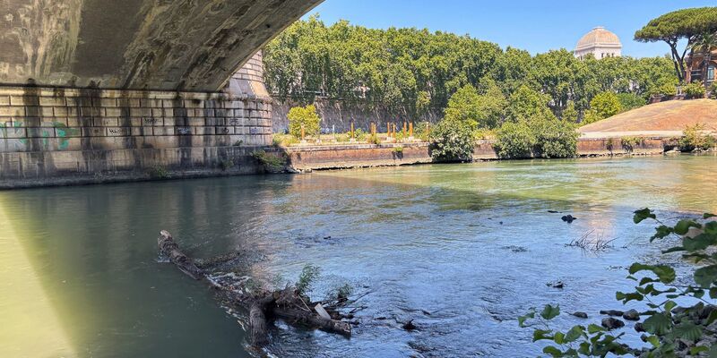 Der Tiber, ein Badegewässer? - Foto: Robert Messer/dpa
