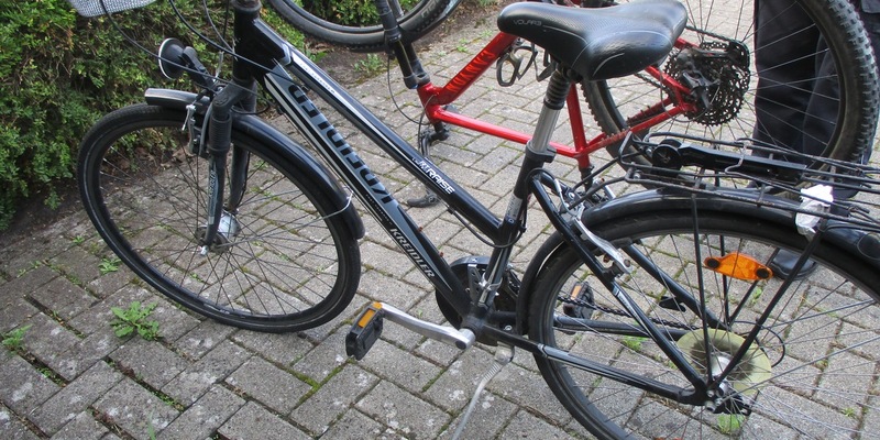 POL-DH: --- Lemförde, Polizei sucht Fahrradeigentümer (Foto) - Dickel, Reh ausgewichen und gegen baum geprallt --- - Foto: presseportal.de