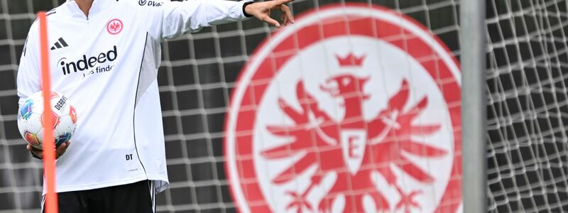Verfolgt mit der Eintracht in dieser Saison hohe Ziele: Trainer Dino Toppmöller. - Foto: Arne Dedert/dpa