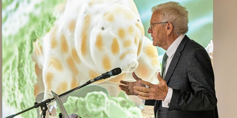 Man kann sie nur unter dem Mikroskop sehen: Die neue Bärtierchenart «Ramazzottius kretschmanni». - Foto: Philipp von Ditfurth/dpa