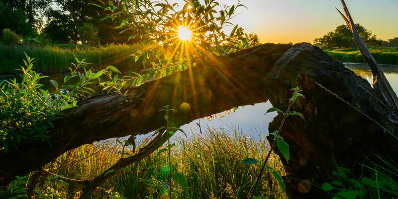 Die Sonne zeigt sich am Wochenende nicht so häufig. (Symbolbild) - Foto: Patrick Pleul/dpa